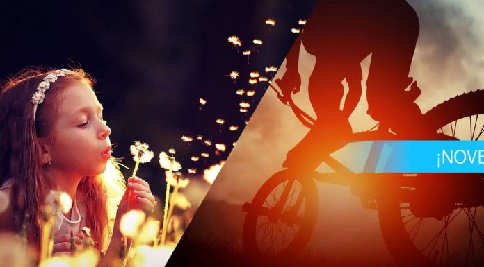 Adobe lanza una nueva versión de Photoshop y Premiere Elements