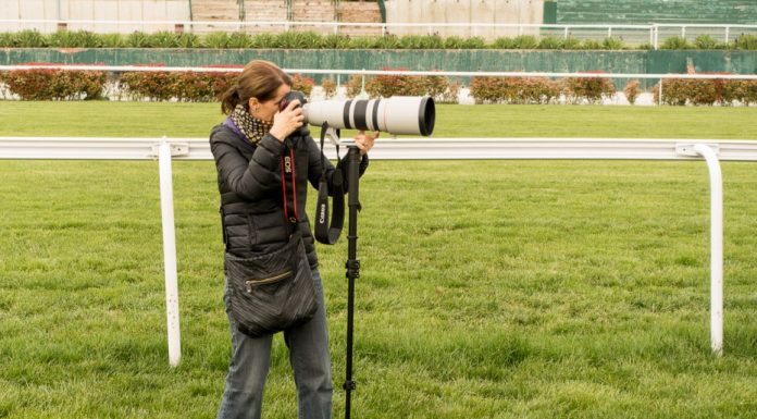 La guía definitiva para dominar el enfoque de las Canon 1DX Mark II y 5D Mark IV