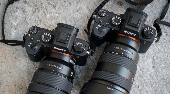 Sony 16-35 mm f2.8 GM y 12-24 mm f4, prueba de campo