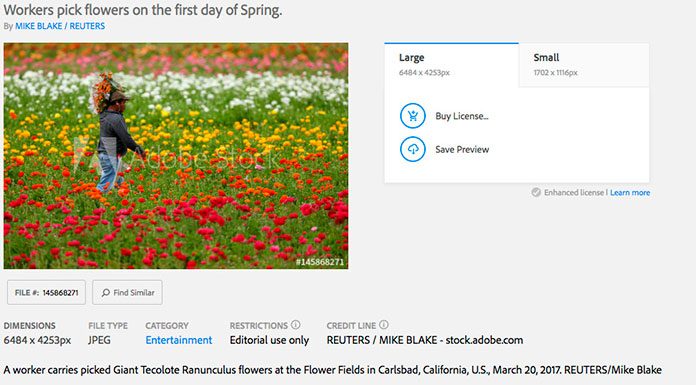 Adobe Stock mejora su sistema de búsquedas y añade contenido de Reuters al catálogo
