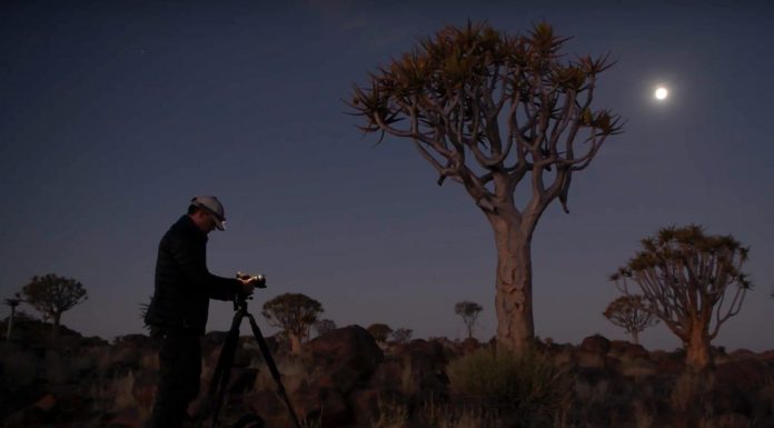 Nikon anuncia el desarrollo de la nueva D850