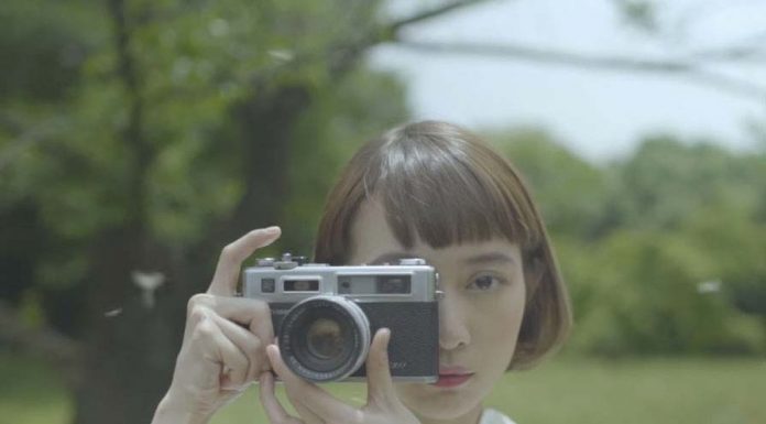 Yashica también quiere volver al mercado fotográfico