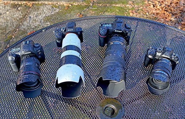 ¿Son más resistentes al agua las cámaras profesionales de Canon, Nikon, Olympus o Sony?