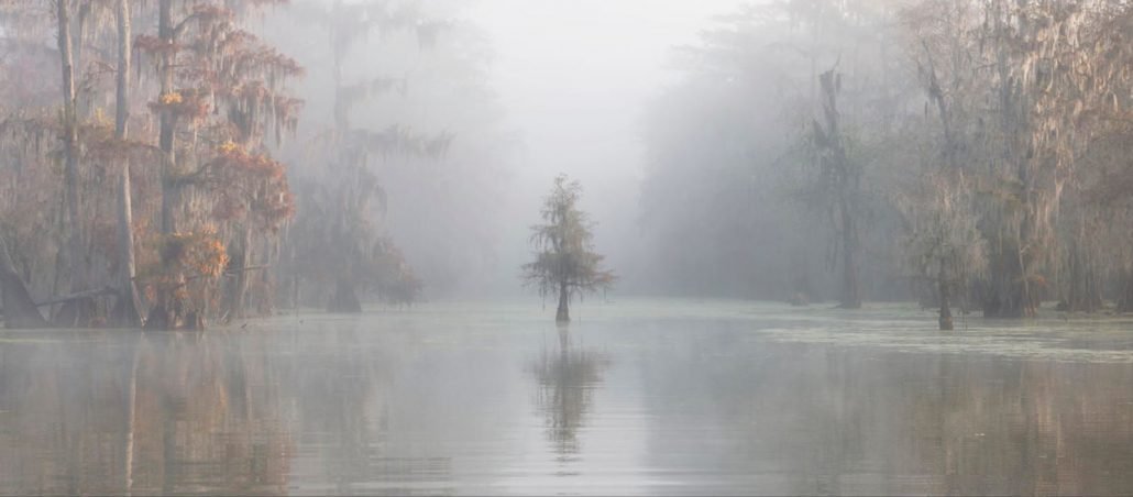 Estos son los ganadores del International Landscape Photographer of the ...