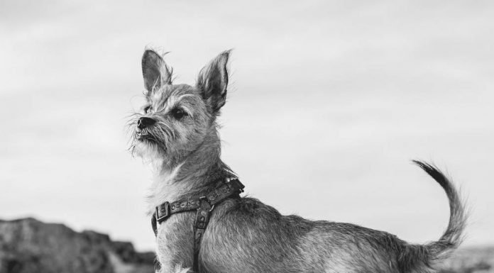 Porfolio: «El proceso de Rita», de Marcos Rodríguez