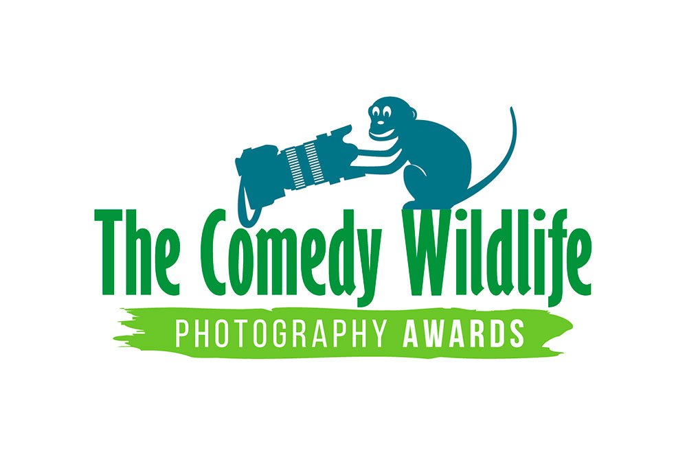 comedy-wild-life