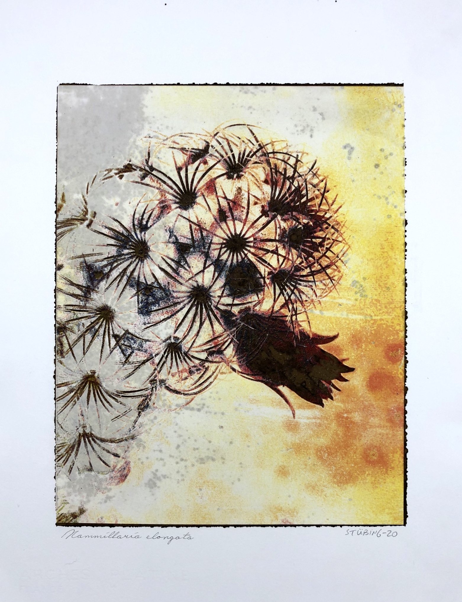 1030628dbed7ce15cce256dbe2dcac0d