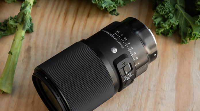 sigma 105 mm f2-8 dg dn macro art-5