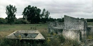 Ana-Teresa-Ortega-Premio-Nacional-2020