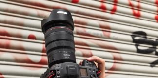 Canon EOS R3-7