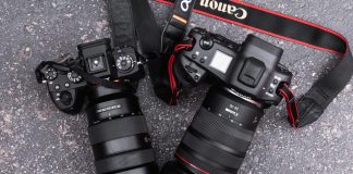 Canon EOS R3-8