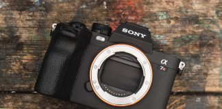 Sony A7R V-15
