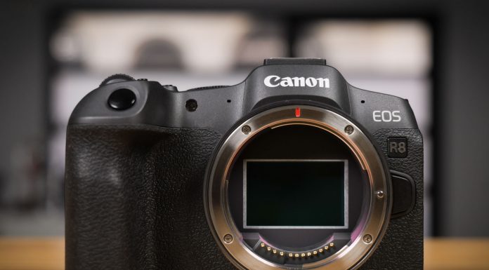 Canon EOS R8-17