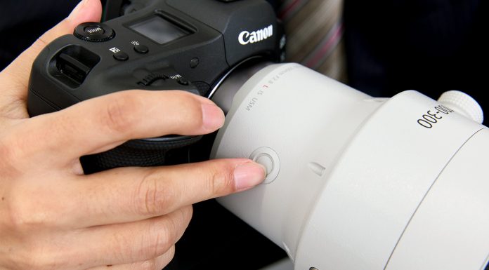 Canon 100-300 mm f2.8 RF: nuevo zoom profesional para cámaras sin espejo IMG_2637a