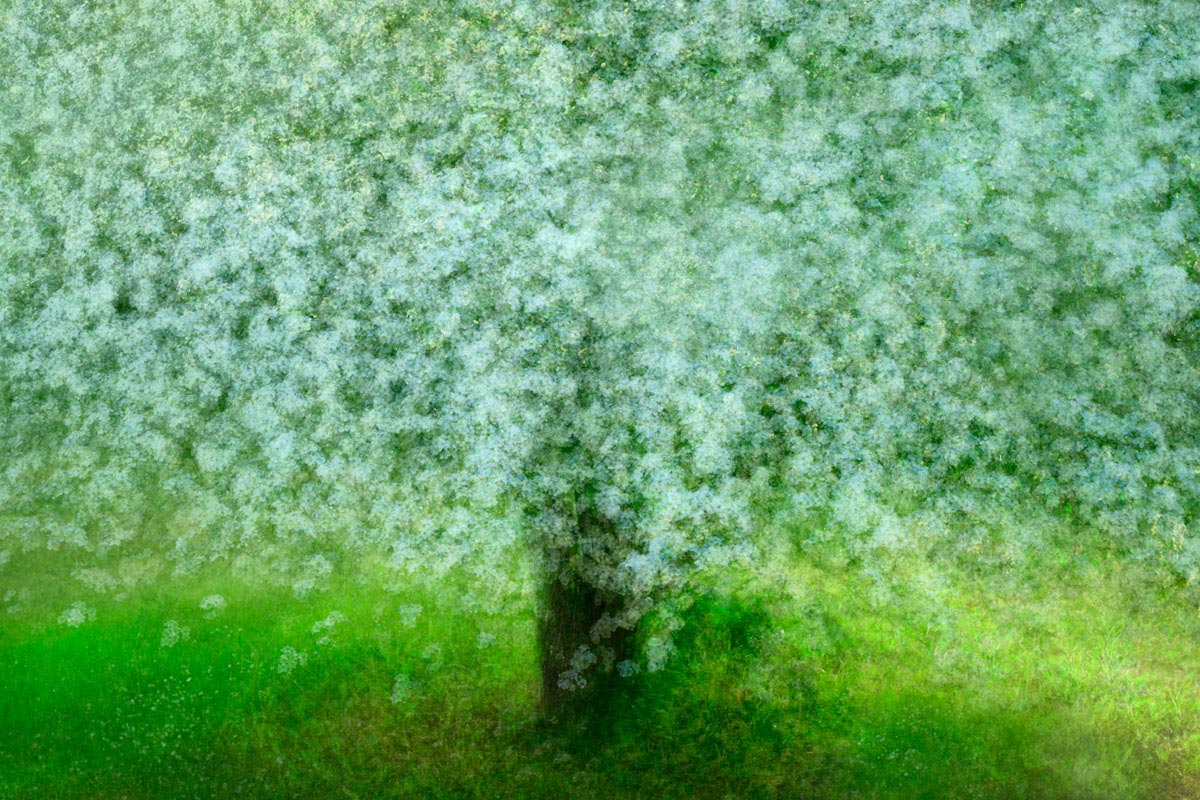 Multiexposicion_Sandra_Bartocha_06