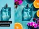 Generate-Background_Perfume-Campaign