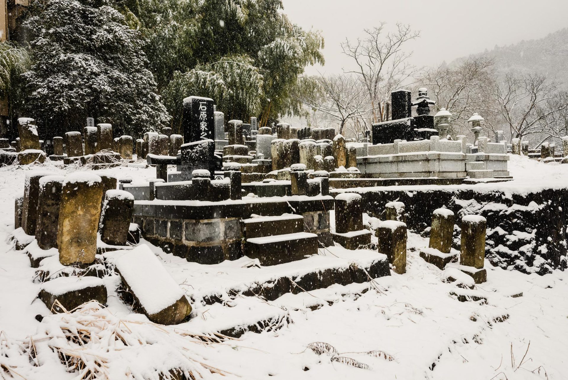 Sigma_FP_Tokio_2024_02