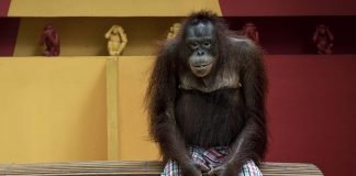 © Aaron Gekoski – Portada