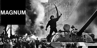 agencia-magnum-premio-princesa-de-asturias-de-la-concordia-2024-trayectoria