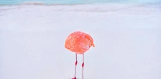 Miles-Astray-concurso_01