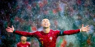 © Marcelo Guelber Goes