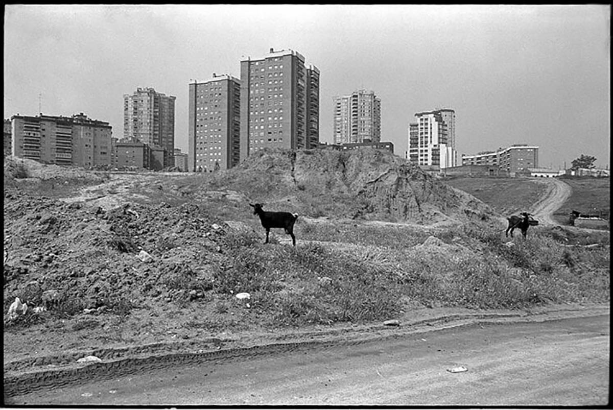 © Javier Campano: VEGAP