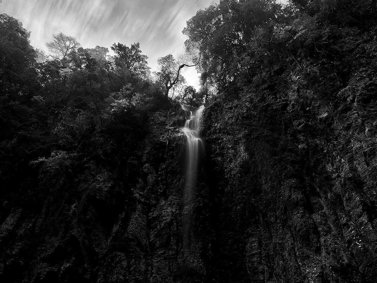 © Shinya Itahana IPPAWARDS