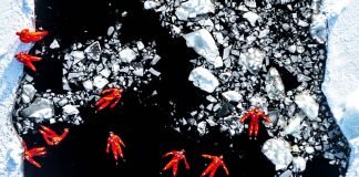 © Gilad Topaz-portada - Drone Photo Awards 2024