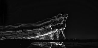 Concurso Internacional MontPhoto 2024