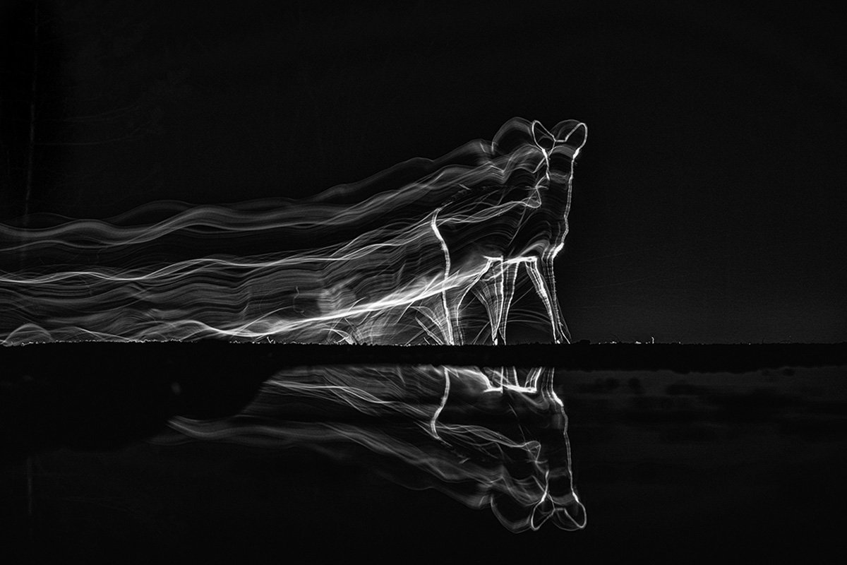 Concurso Internacional MontPhoto 2024