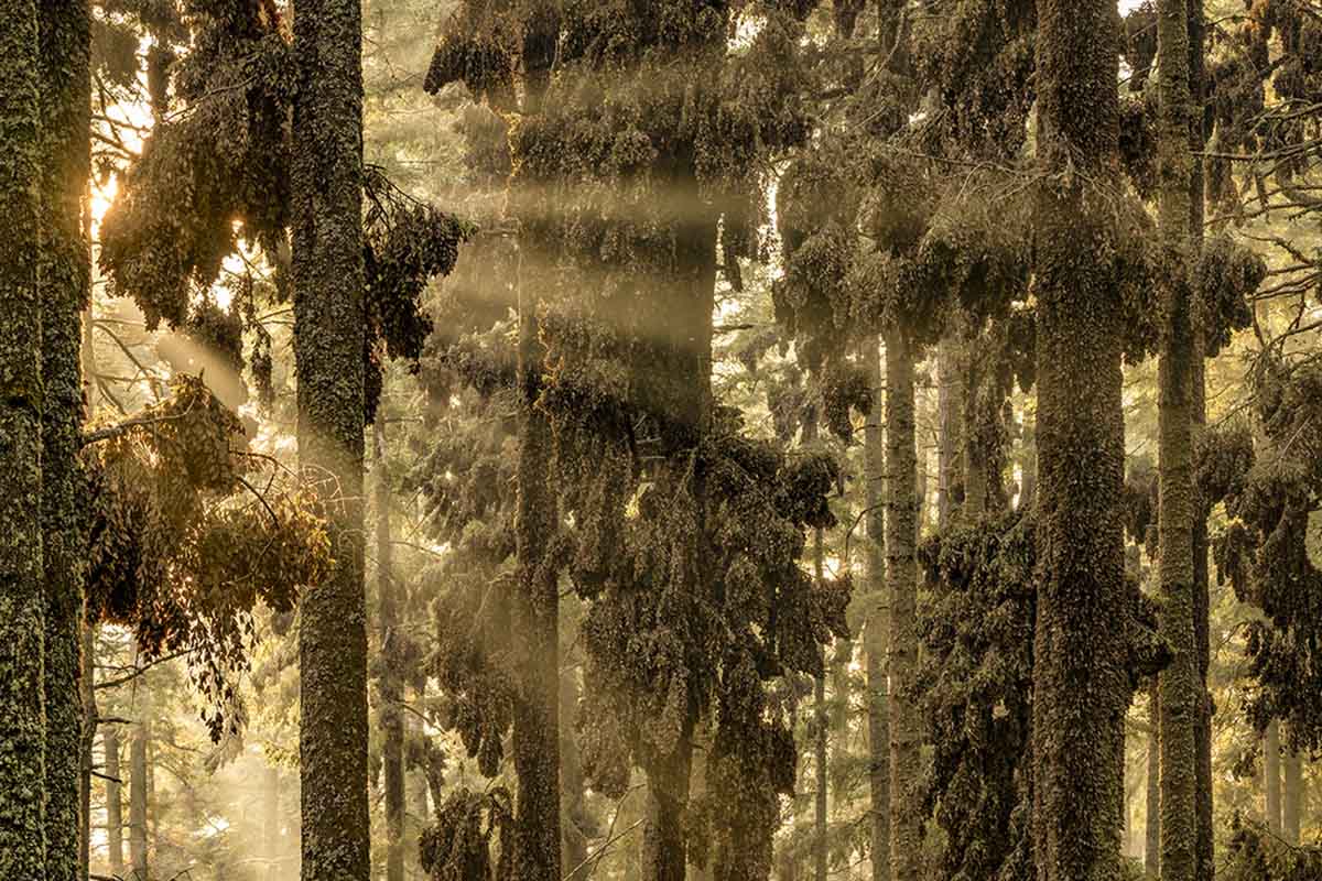 Concurso Internacional MontPhoto 2024