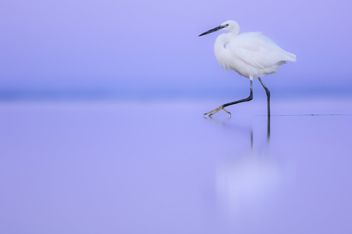 Concurso Internacional MontPhoto 2024