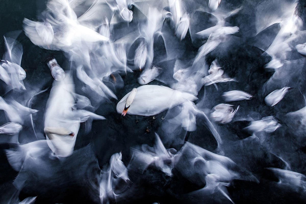 Concurso Internacional MontPhoto 2024