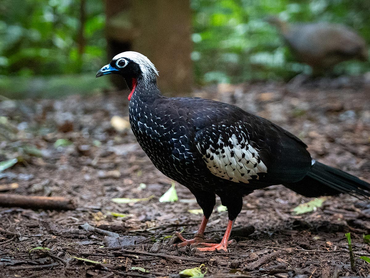 Sigma-28-105mm_viaje_09