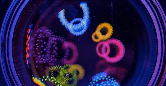 Hasta 1000 € de descuento: las mejores ofertas fotográficas de Black Friday en Foto Ruano Black-Friday-2024—Plantilla-vacía-WEB