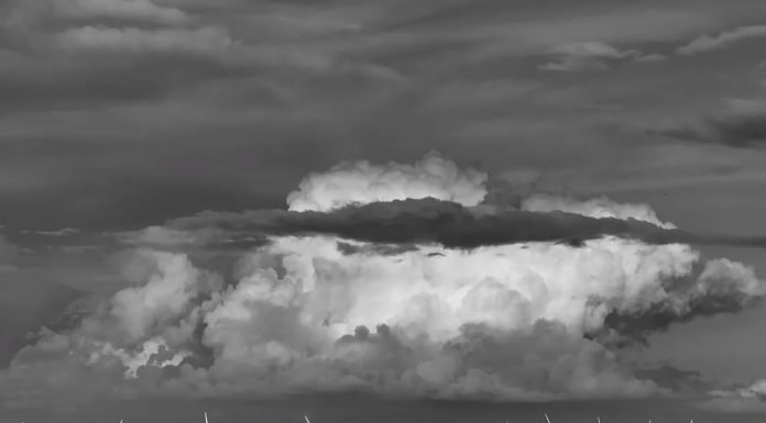 © Liping Cao – Portada – HIPA