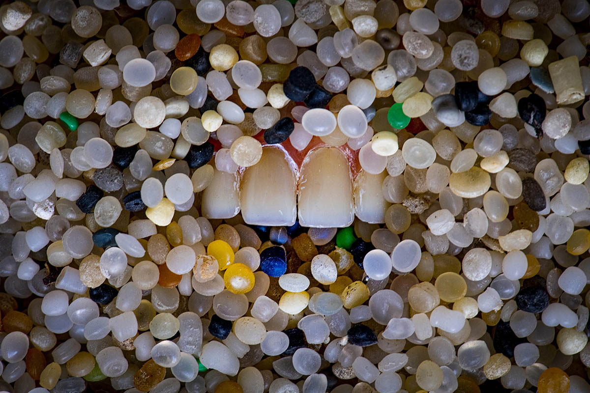 LUX2024_Paisaje_y_Naturaleza_-_01_ORO_-_Fernando_Aguilar_Anton_-_Zombi_-_1321-1