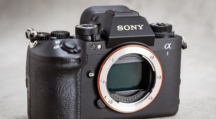 Sony explica por qué ha usado en la A1 II el mismo sensor que la generación anterior Sony A1 II_0010