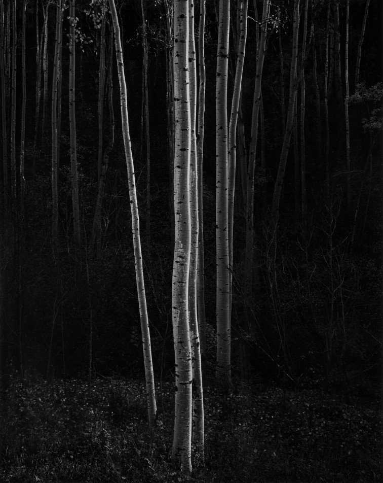 Ansel Adams 1