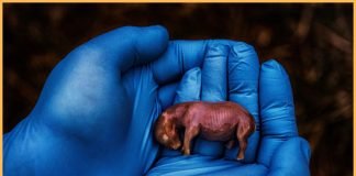 pictures of the year 3