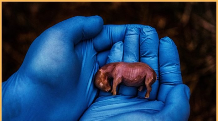 pictures of the year 3