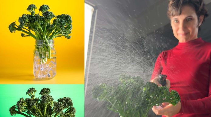 Collage de fotos horizontal flores minimalista azul – 1