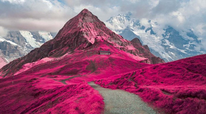 El mundo visto a través de la fotografía infrarroja: estas son las imágenes ganadoras del certamen Life in Another Light Life in Another Light - Concurso Fotografía Infrarroja