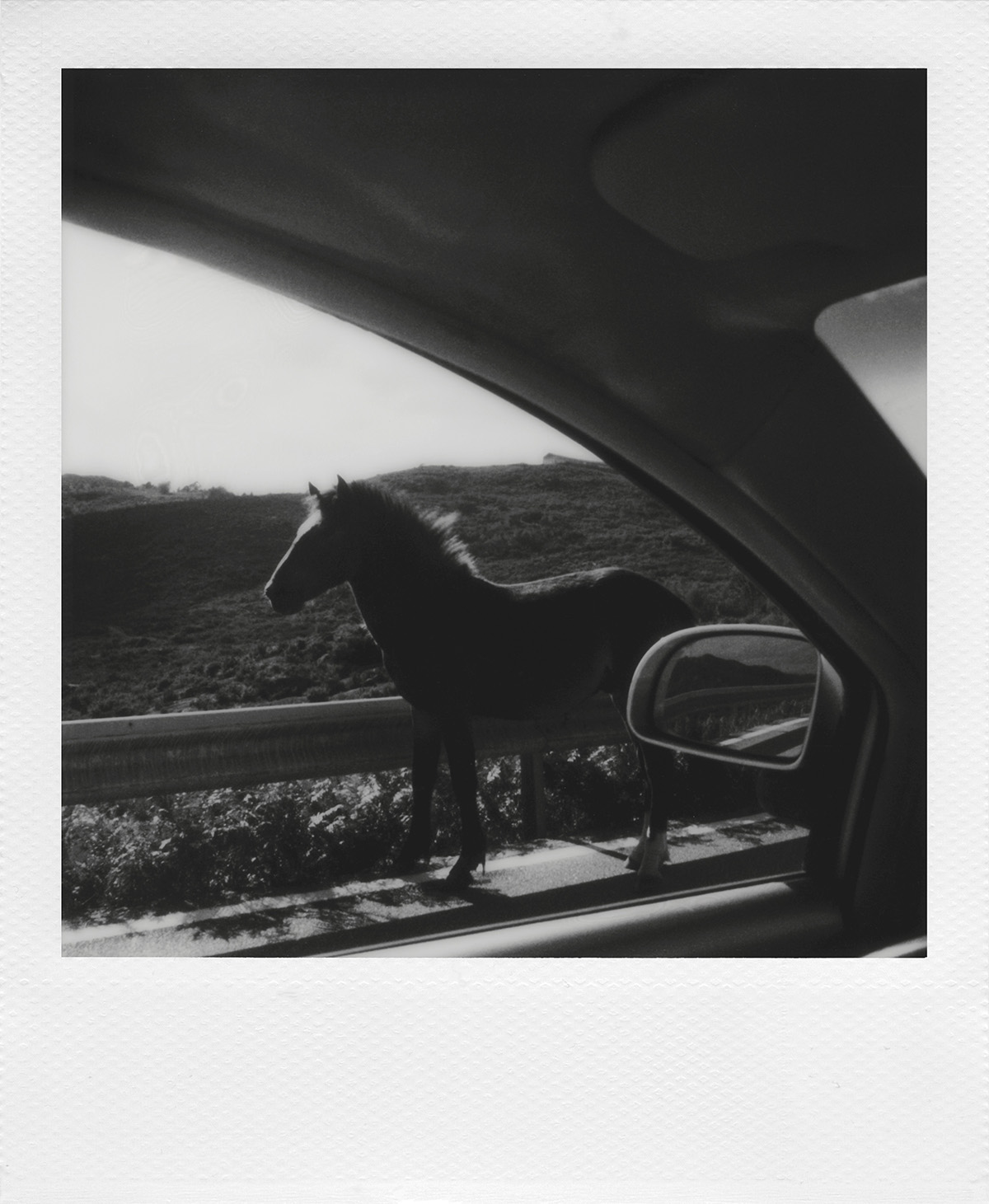© Maria Beatriz Vilhena 1