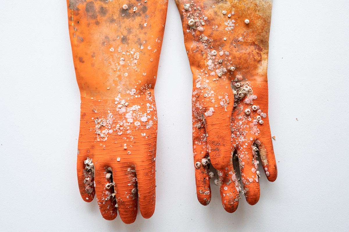 Sony World Photography Awards 2025 - Finalistas