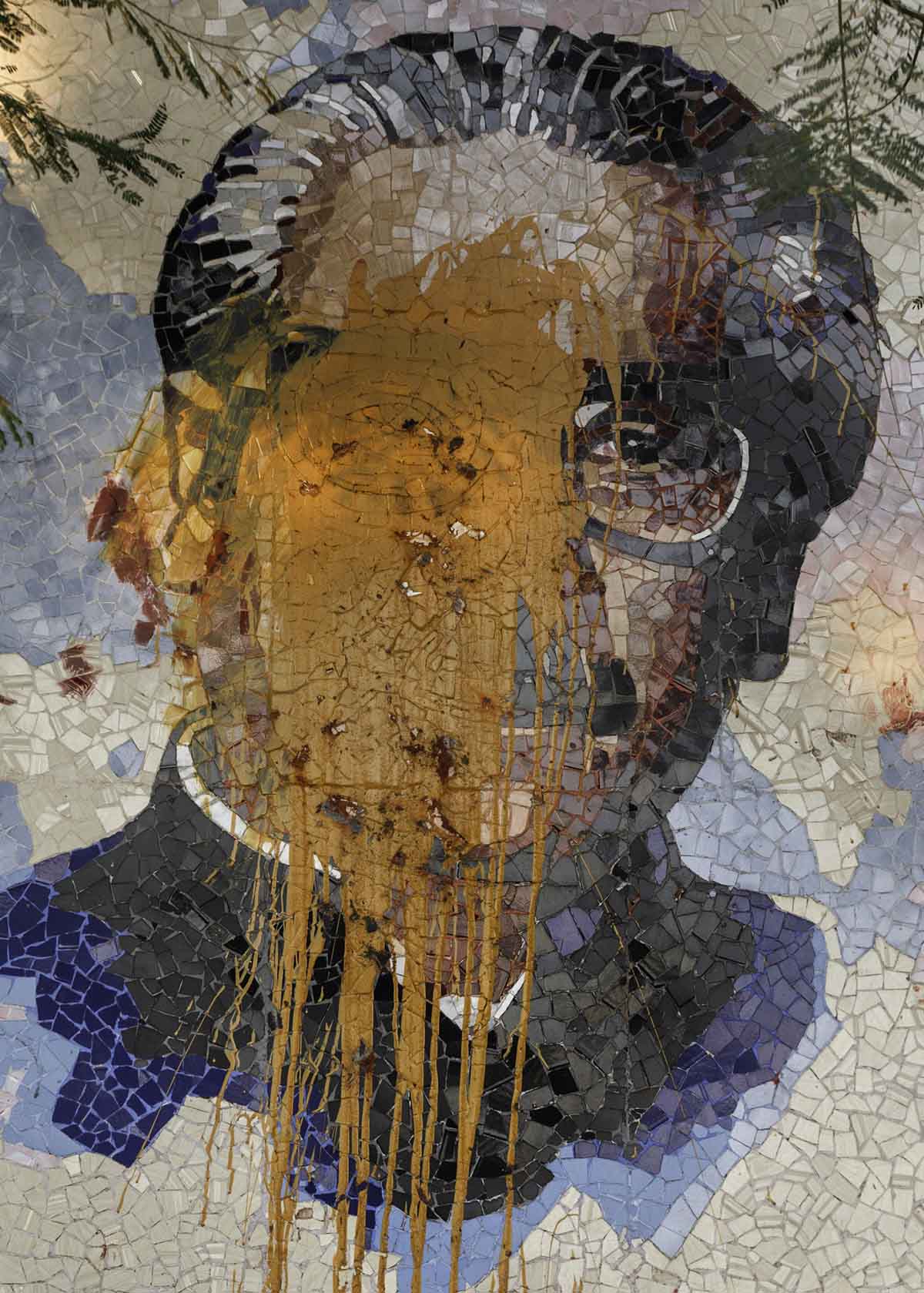 Sony World Photography Awards 2025 - Finalistas