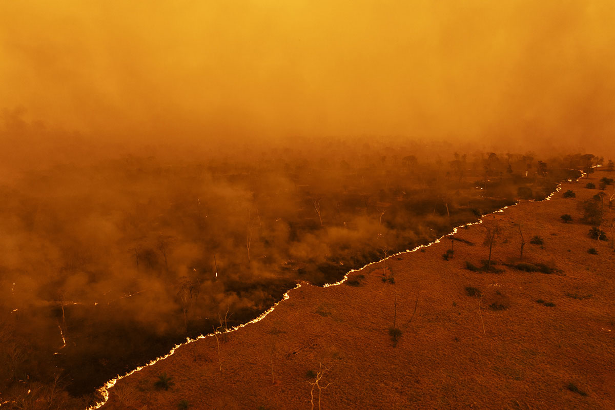 Sony World Photography Awards 2025 - Finalistas