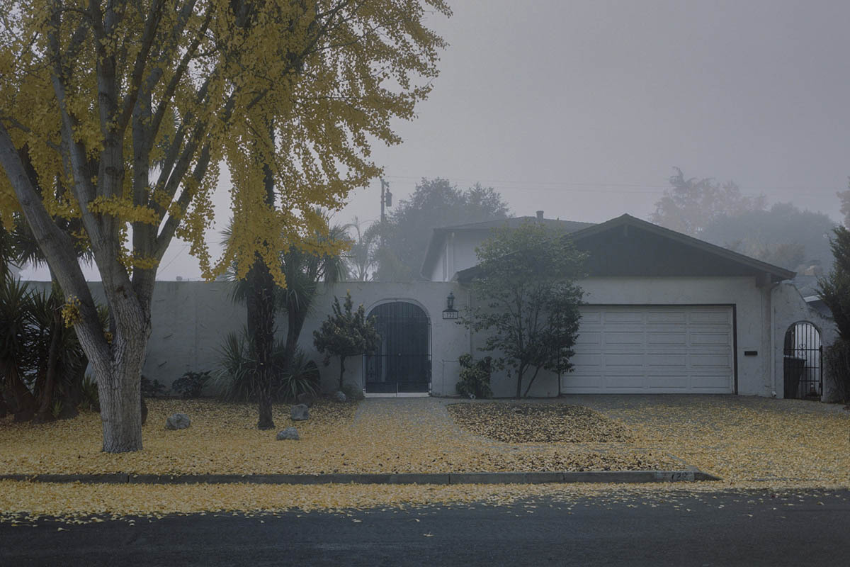 Sony World Photography Awards 2025 - Finalistas