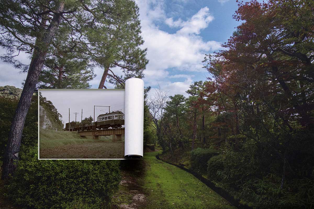 Sony World Photography Awards 2025 - Finalistas