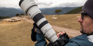 Sony 400-800 mm-4